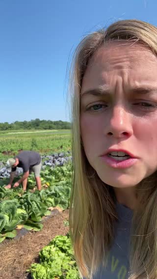 You better say my husbands cabbage is beautiful… #cabbage #couple #plantdad #farmersoftiktok #farmtok #plantok #foryoupage #foryou #fyp #smallbusiness 
