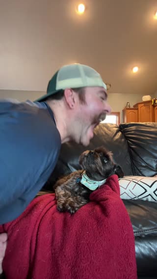 #trending #trendingvideo #taylorSwift #DogsofTikTok #ReadyForIt #Reputation 