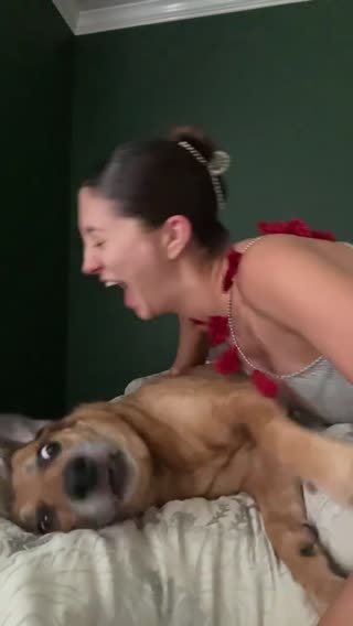 Sorry to interrupt your playing. #trend #dogsoftiktok #taylorswift 