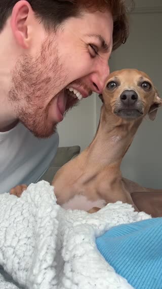 He didn’t know what to think 😂 #dog #cute #trend #fyp 