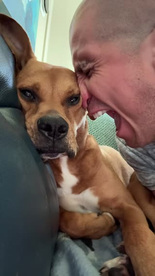 Not even bothered 😆 Thanks for the new way to annoy my dog @Cinilla 😂 #dogdad #myboy #doggos #lol #trend #fyp 