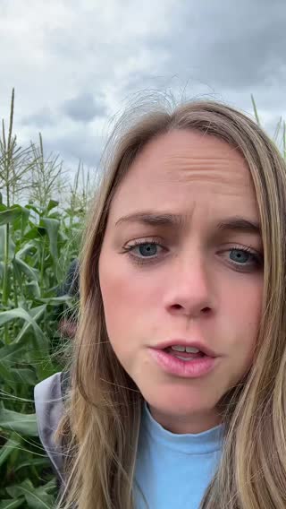 My husband grew this ear of corn so you better tell him how amazing it is.  Inspo: @yearningyardies 🌽 #plantsoftiktok #cornplant #cornharvest #foryou #foryoupage #fyp #couple #plantdad #trend #farmersoftiktok #farmtok #supportsmallbusiness 