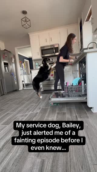 The way he makes sure she lays down 🥹🐶 #RoadTo18Million #Pubity (@Bailey and Katie via Bviral) 