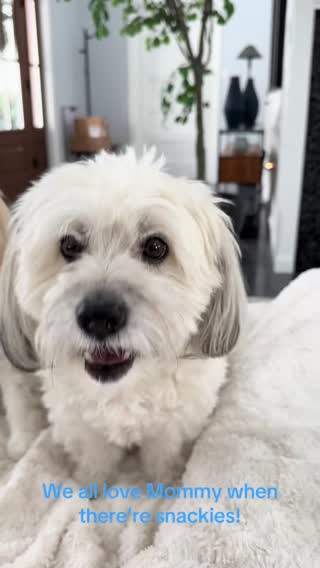 SNACKIES!!! We are BFF’s with whoever has the snackies, yum!!