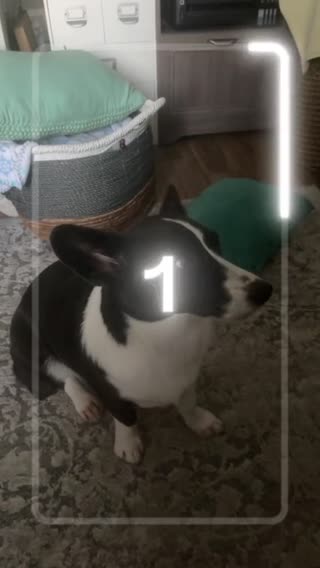 TikTok video #7254386247760792878