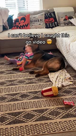 This is the purest thing I have ever seen. These two are a month apar...