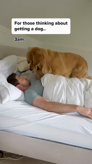 It’s inevitable. Have fun!🤣 #goldenretriever #doglife