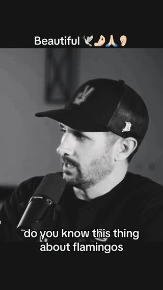 #truth #beauty #motherslove #love   #fyp #advice #husbandwife #women #men #pink #dont #looseit #meaning #friends #god #godscreation #lifeisbeautiful #viraltiktok #jordanpeterson #theovon #thankyou #greatlisten #flamengo #teachus #this 