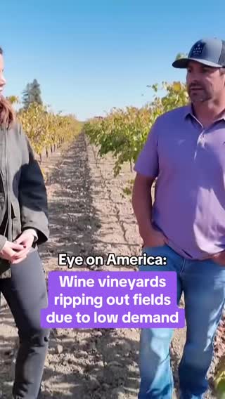 California's wine industry is in decline as people are drinking less alcohol than past generations, leaving vineyards with too much supply and not enough demand. Experts are recommending ripping out 50,000 acres of vines, more than 8% of all the vineyards left in #California. #news #wine #alcohol #drinking #drink #vineyard #grapes #genz #eyeonamerica