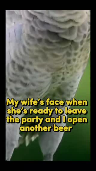 Right! 😏 #wifey #øl #sol #sommer #guttastemning #norsk #timetogohome #norsktiktok 
