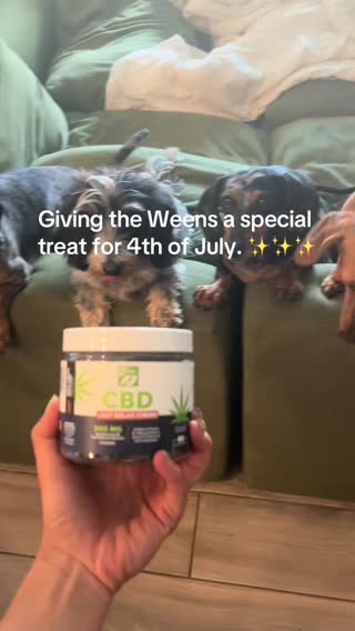 ☁️🫡 Bandit was feeling it…