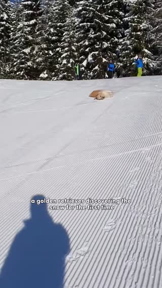 Who doesn’t like snow? 