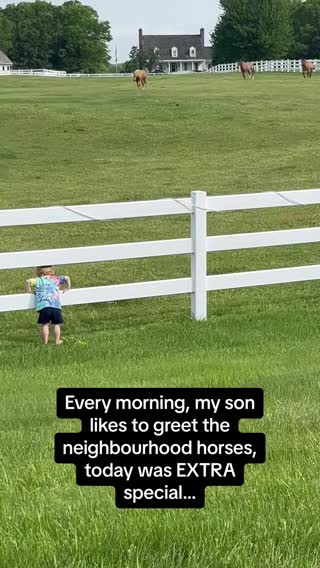 The way he tried to hug the horses near the end 🥺🐴 #RoadTo15Million #Pubity  (Kelly Messens via ViralHog)