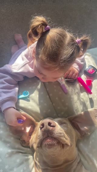 Two gentle souls 🤍  #bestfriend #dogsoftiktok #dog #girldog #dogbestfriend #fyp 