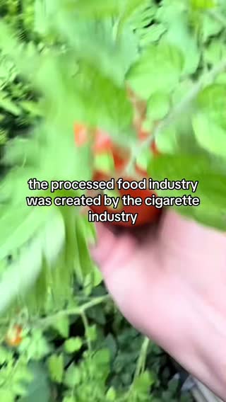 Once you go down that road it’s hard to look at food the same again… . . #homestead #honesteading #canning #canningandpreserving 