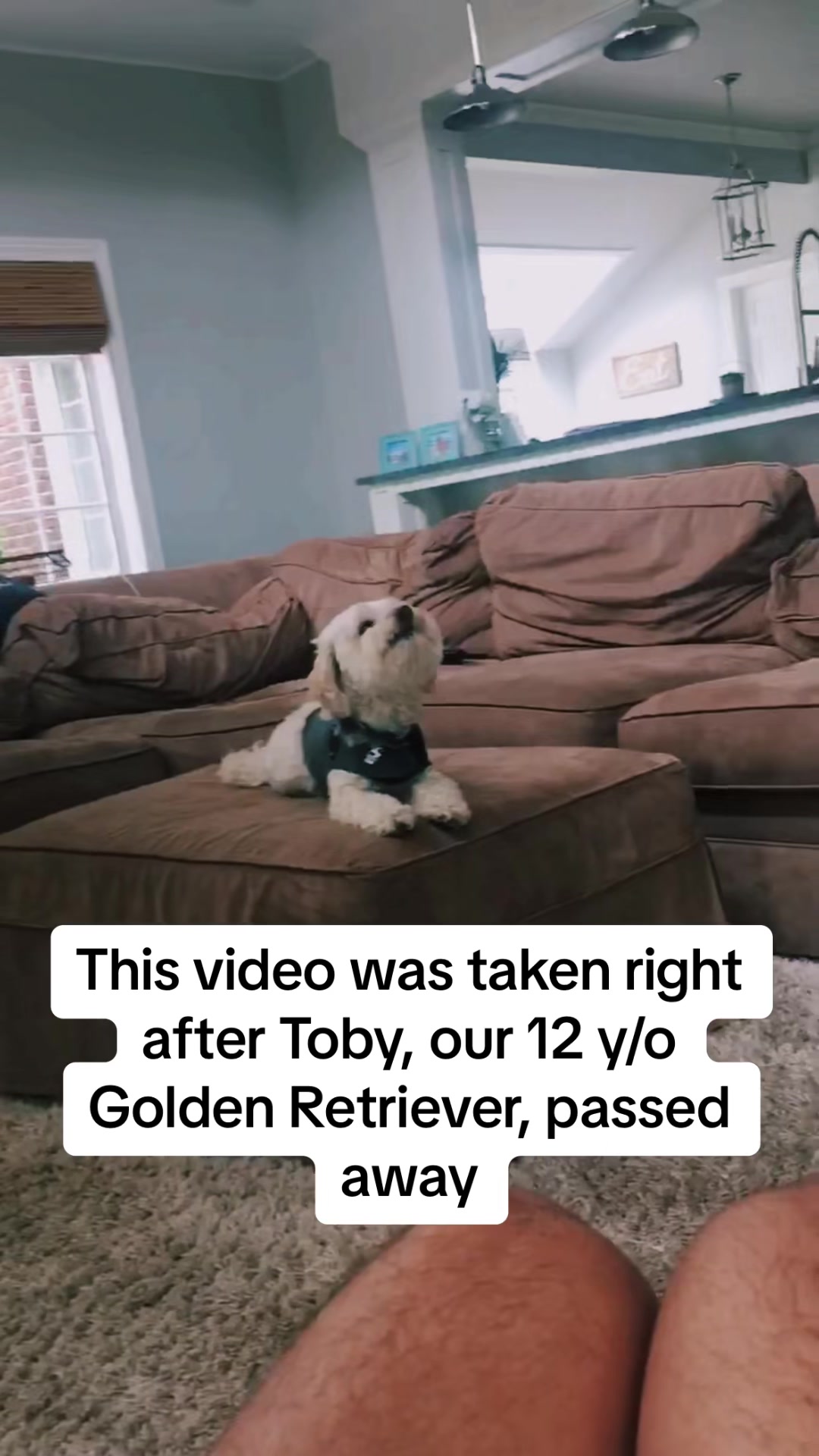 Video from Batch 2025-06-07 13:09 #81