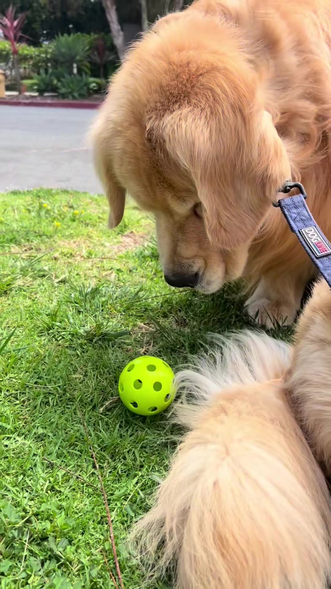 Video from Batch 2025-06-07 13:09 #48