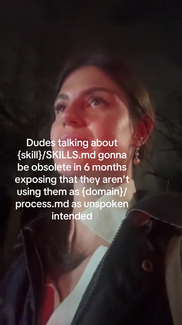 Sharing skillsmd like go py etc files