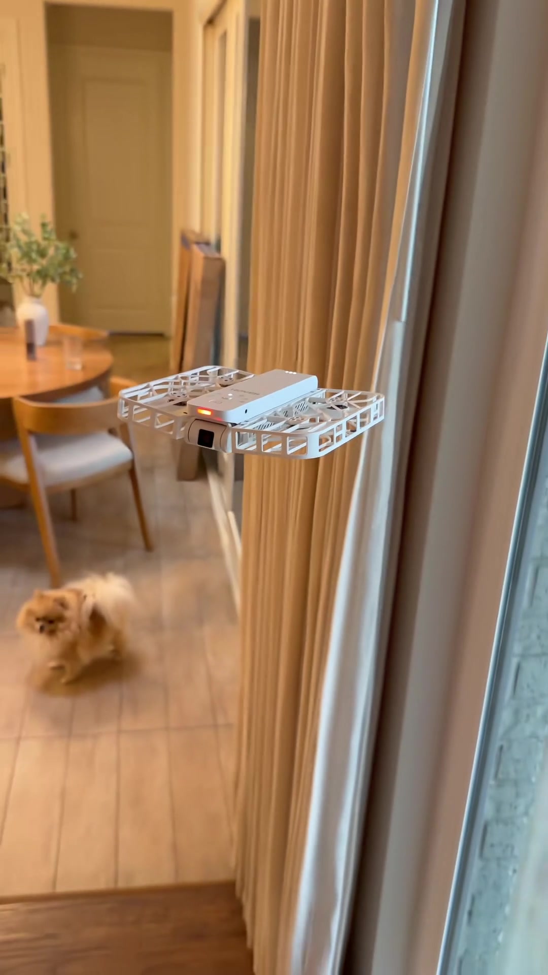 So easy a kid can play with it but so fun an adult will love it! Get ...