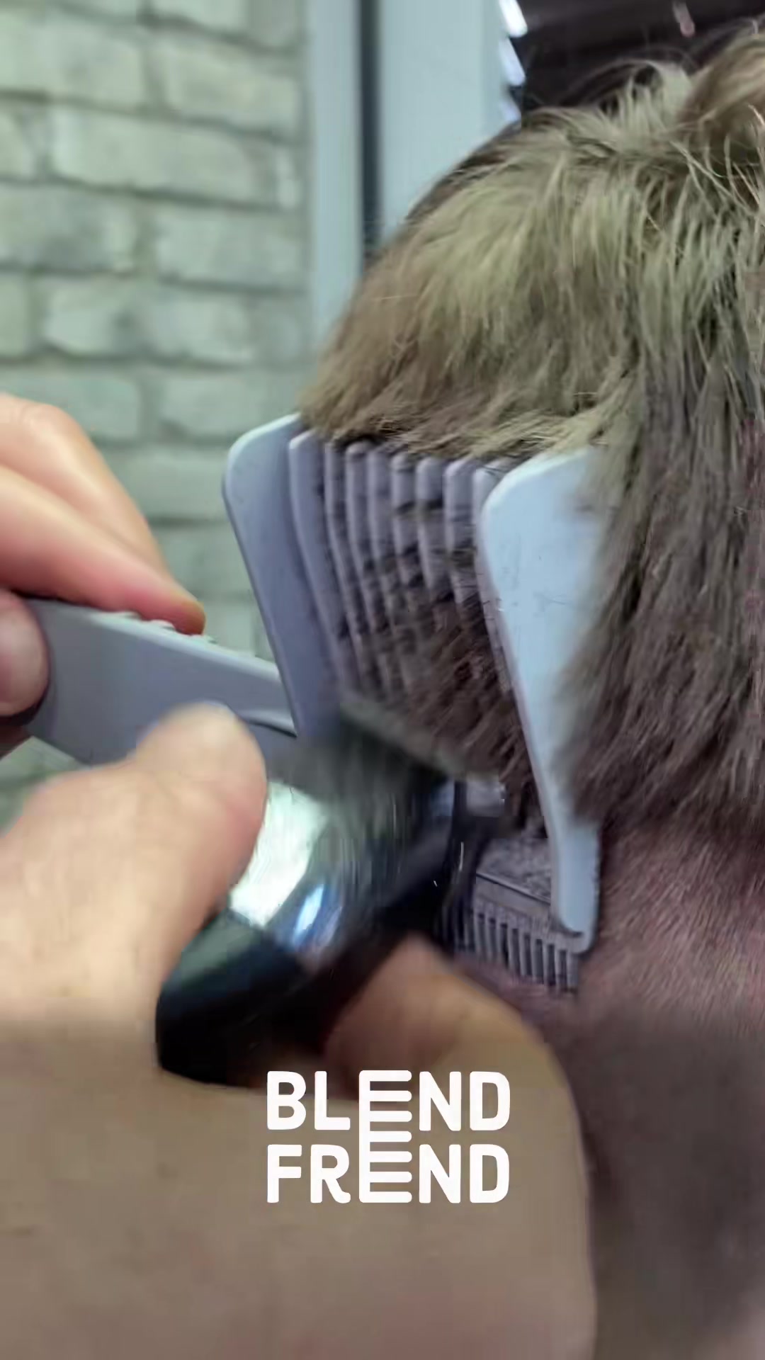 🙏BLEND FREND is simple & easy to use with consistent results every ti...