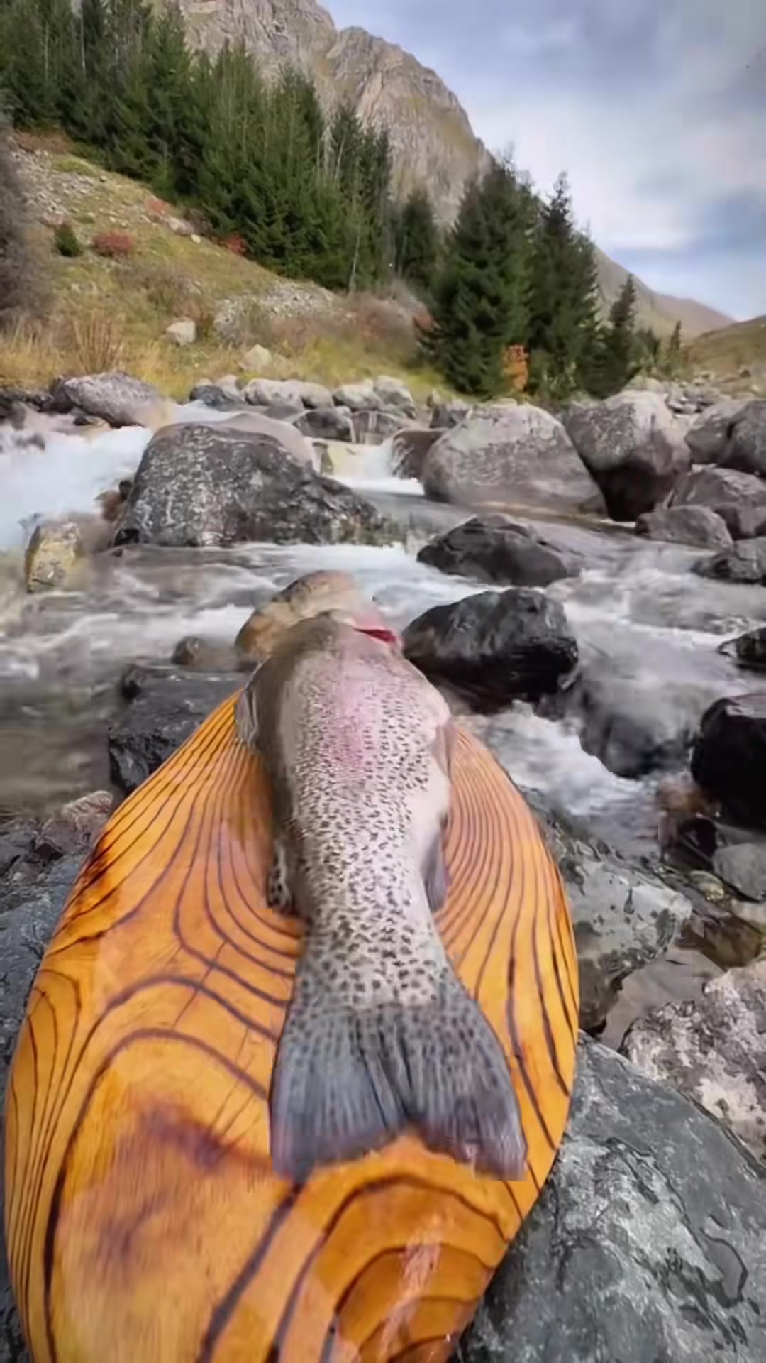 Cooking norwegian salmon steak in nature 🐟🍣💦🏔 #cookingasmr #leon #out...