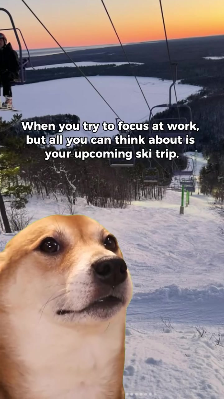 Video by apresski.daily