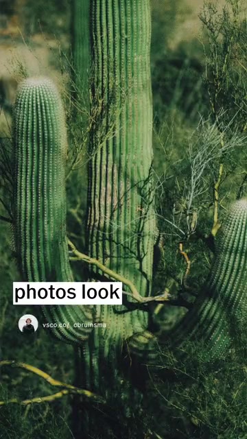 From Kodachrome to Portra — transform your camera roll with authentic...