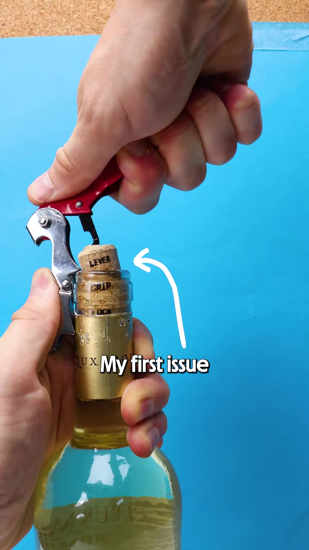 Redesigning the ubiquitous waiter's corkscrew.