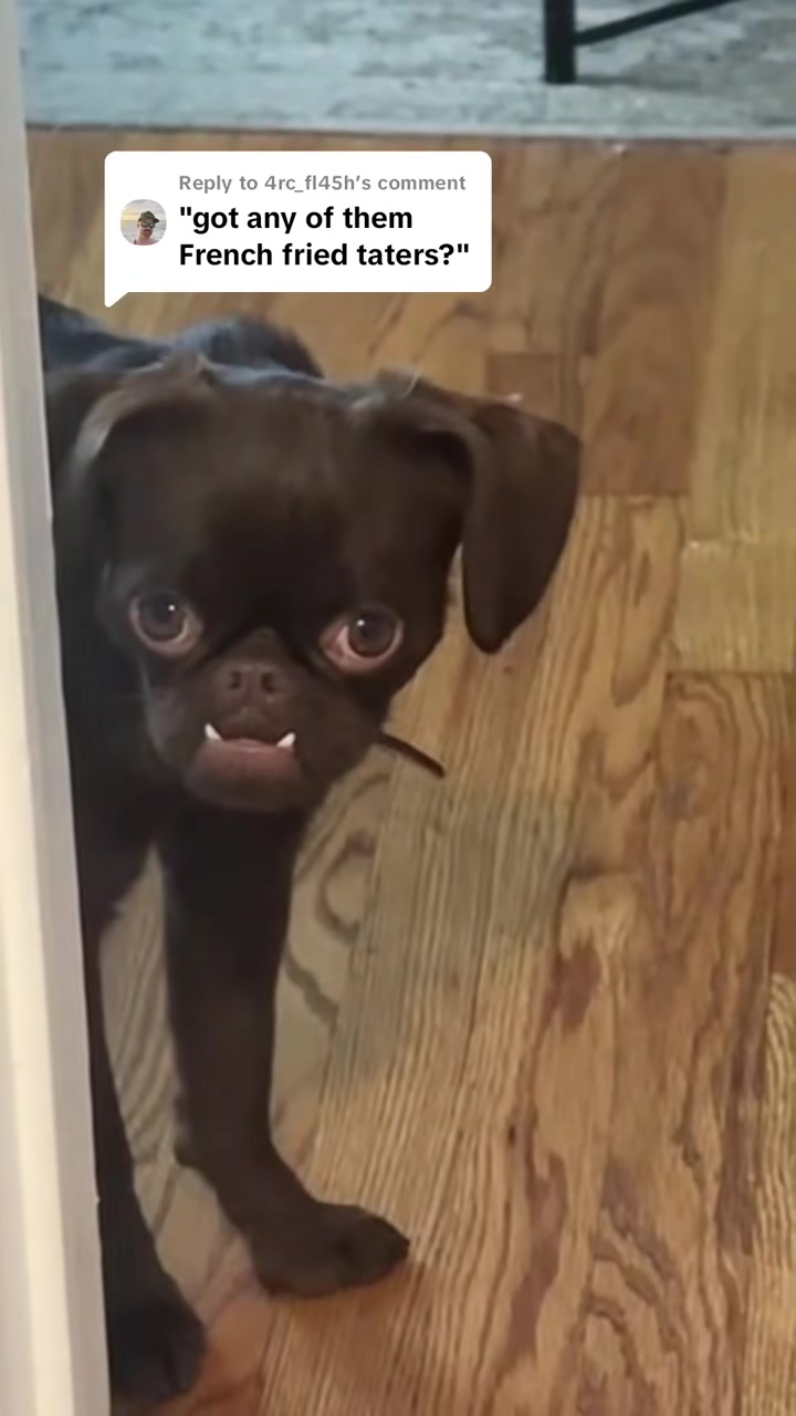 Replying to @4rc_fl45h Reckon I'll have some uh thuh bigguns @miss tw...