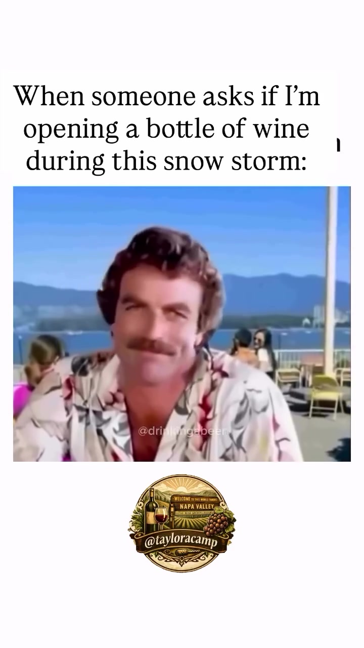 It’s adorable that people still phrase this like it’s a question. As if I’m sitting here staring out the window at a literal winter apocalypse thinking, “hmm yes, perhaps I’ll remain sober and reflective during this meteorological crisis.” No. Absolutely not.

This is peak wine weather. This is a sommelier-endorsed cozy-core scenario. This is exactly why adult humans stock up on Cabernet the same way squirrels stock up on acorns. It’s called survival instinct. If anything, I should be offended that you even had to ask.

Because in this house we have emergency sparkling for morale, Pinot for pacing, Cabernet for warmth, and a dessert wine purely for emotional support. And don’t get me started on charcuterie logistics — I’ve already rearranged the fridge twice to ensure optimal cheese deployment.

So yes, I’m opening a bottle during the snowstorm. Honestly I’m opening one because of the snowstorm. If Mother Nature is going to trap me indoors, the least I can do is pair it with a proper flight.