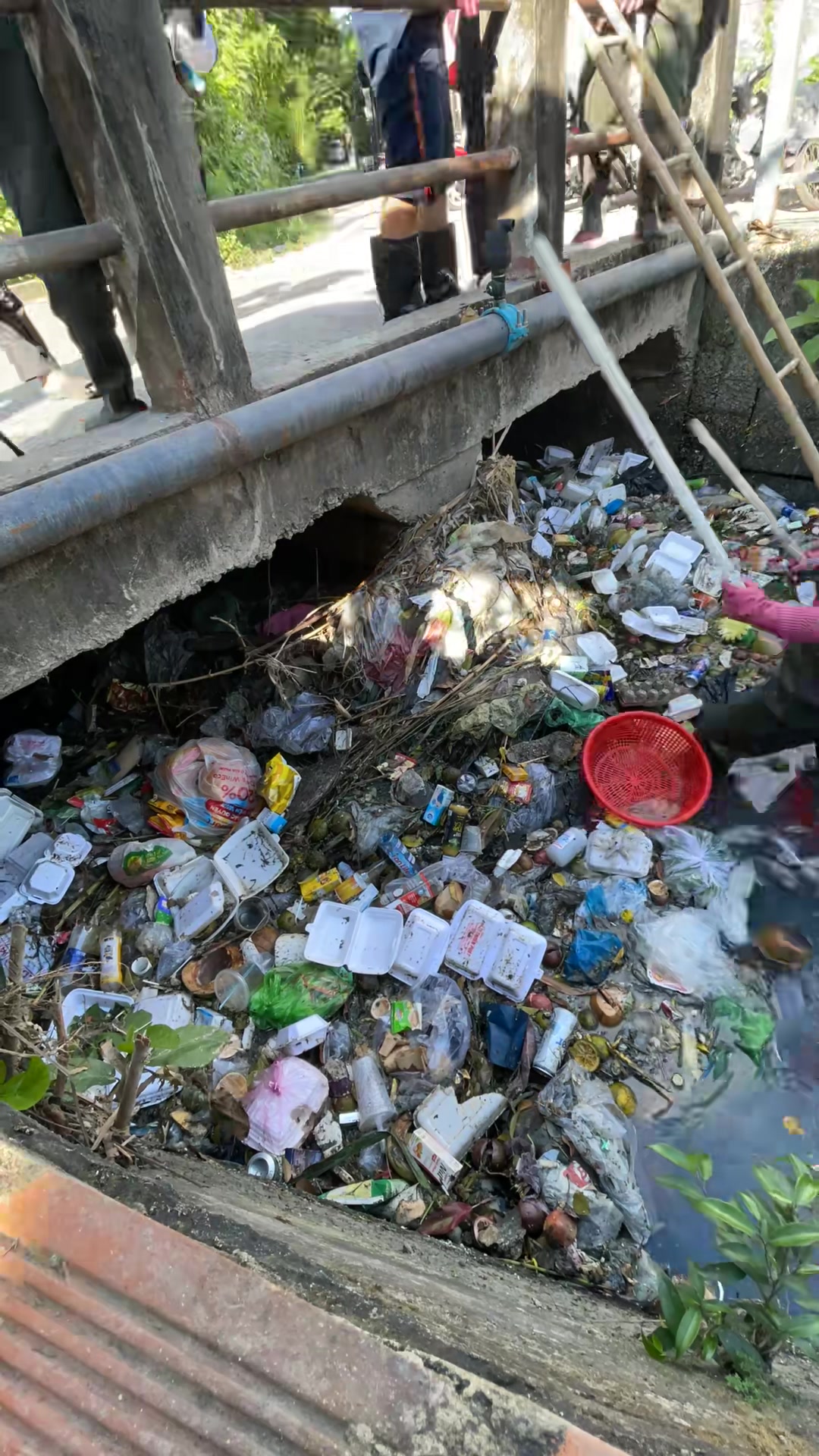 Video from Batch 2025-06-07 13:09 #0