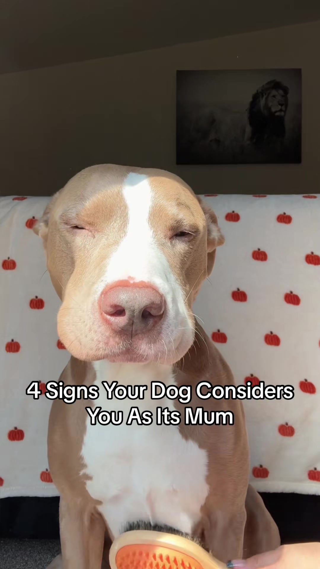 Video from Batch 2025-06-07 13:09 #99