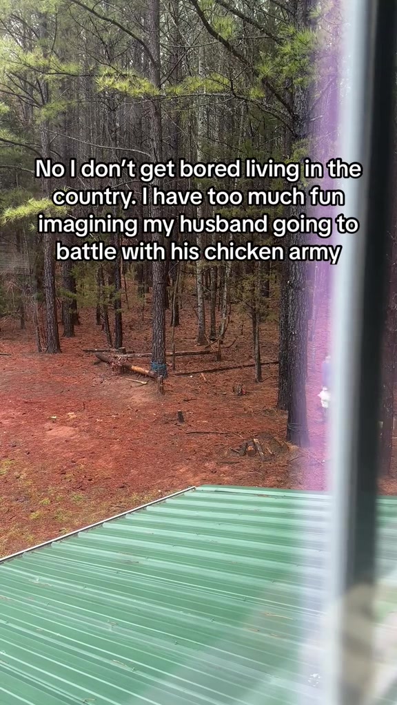 Video from Batch 2025-06-07 13:09 #15