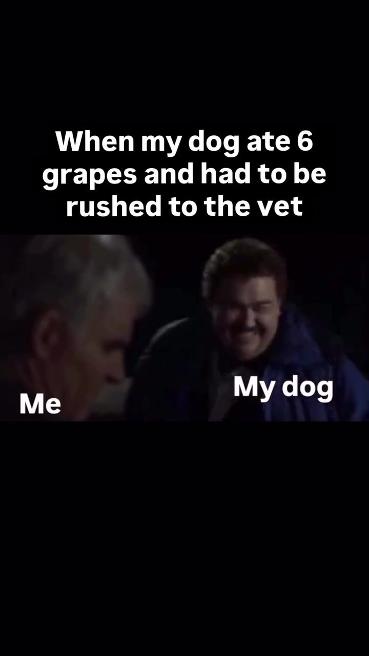 A puppy will always find a way to get what they want😭 

I don’t even think I can laugh about it now because it was such a scary moment for me as I was super cautious when Finn was a puppy and worried about everything. It also really hurt my wallet ✨