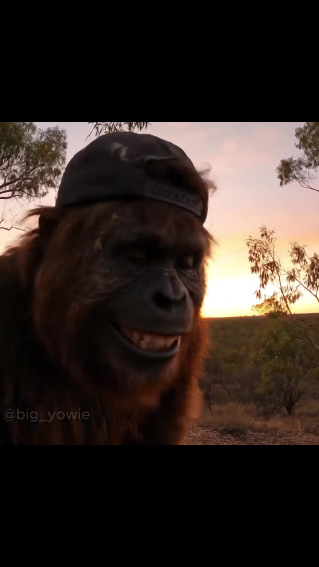 #yowie #pranklessharm #prank #camping #explosion #australia #outback ...